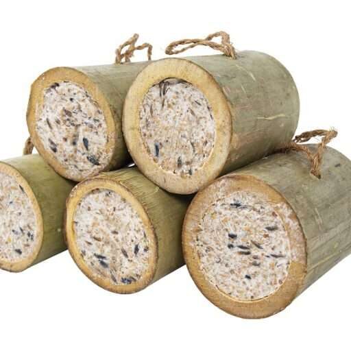 Bamboe gevuld met vet