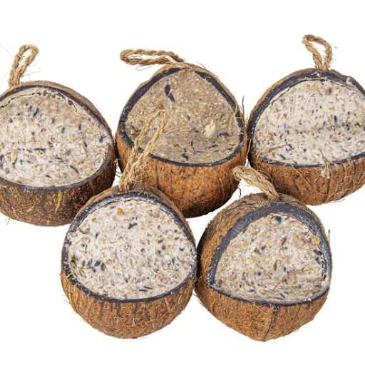 Kokosnoot gevuld met vet