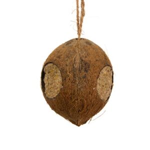 kokosnoot gevuld met 3 gaten