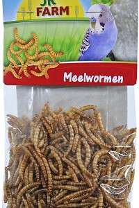 Meelwormen - JR - Farm - 25 gram